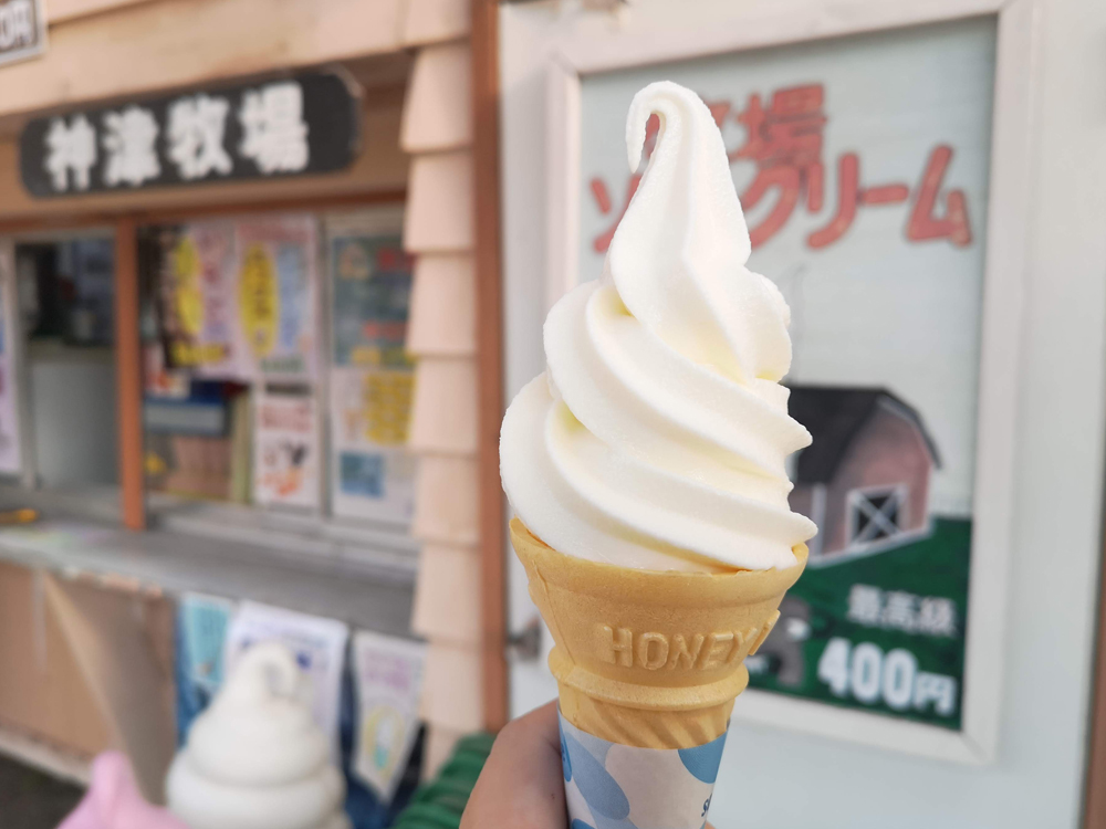 群馬サファリパークで神津牧場のソフトクリーム