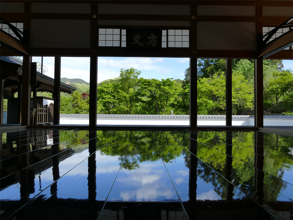 宝徳寺の春の床もみじ